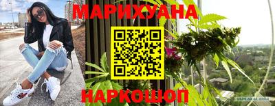 гашик Ливны