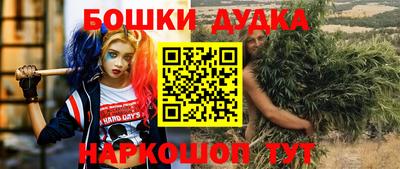 гашик Ливны
