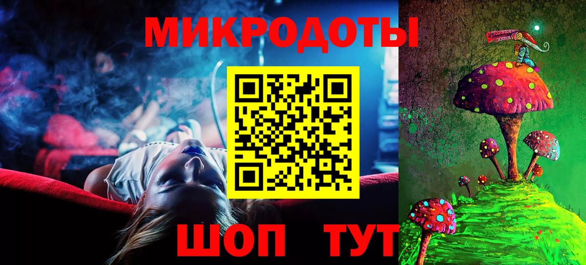 Псилоцибиновые грибы Psilocybine cubensis Балашов